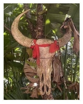 佤族牛头图腾符号来源图